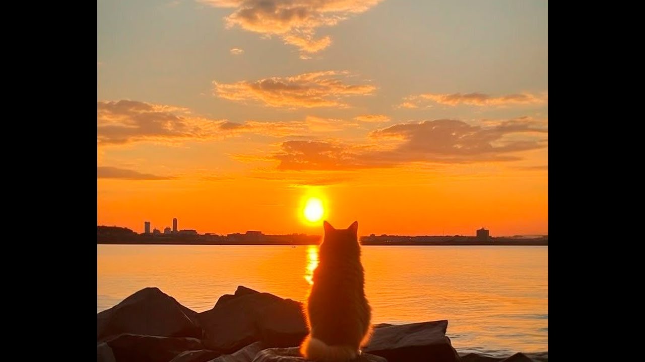 (FREE) Sad Piano x Acoustic Guitar Type Beat *no drums* - chase a feeling