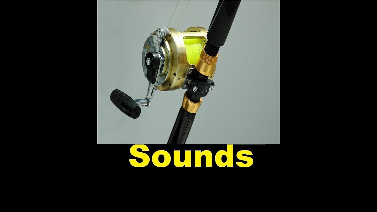 how to save reels with audio how to save reels with audio