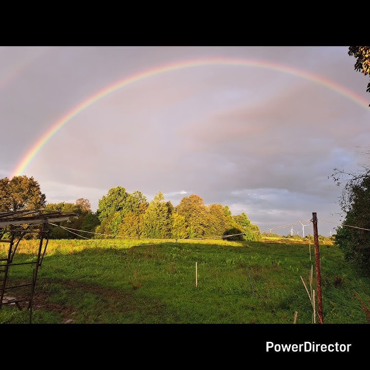 Taves tiek daug ir tiek mažai