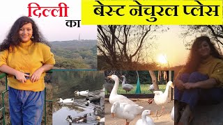 Best Natural Place in Delhi | Sanjay Van Tour |