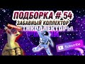 ЗАБАВНЫЙ КОЛЛЕКТОР / ПОДБОРКА #54🔥