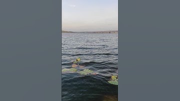 câu cá tại bàu trắng