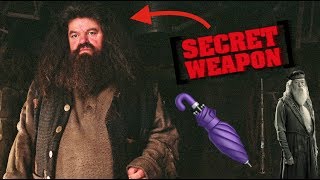 Harry Potter Theory: Was Hagrid Dumbledore's Secret Weapon?