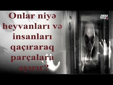 (YADPLANETLİLƏR) Ən çox rast gəlinən, insanlar və heyvanları qaçıran yadplanetlilər - boz varlıqlar!