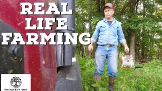 Life on a Farm: What YouTube Isn't Showing You!