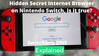 Hidden Secret Internet Browser On Nintendo Switch, Is It True? Switchbru Dns Explained