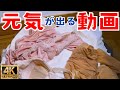 仕事帰りのちょっとお行儀がよろしくない会社員女