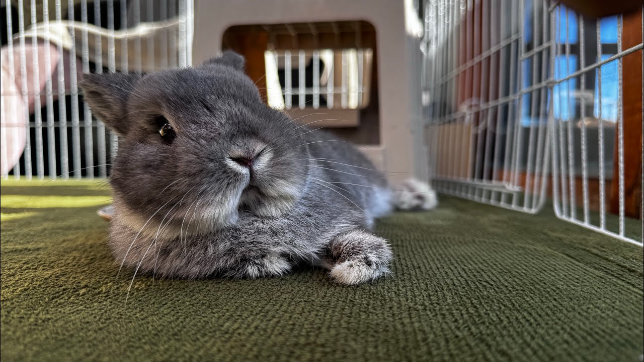 2026/2/23 MARU CHANNEL〜まるちゃんねる〜 がライブ配信中！