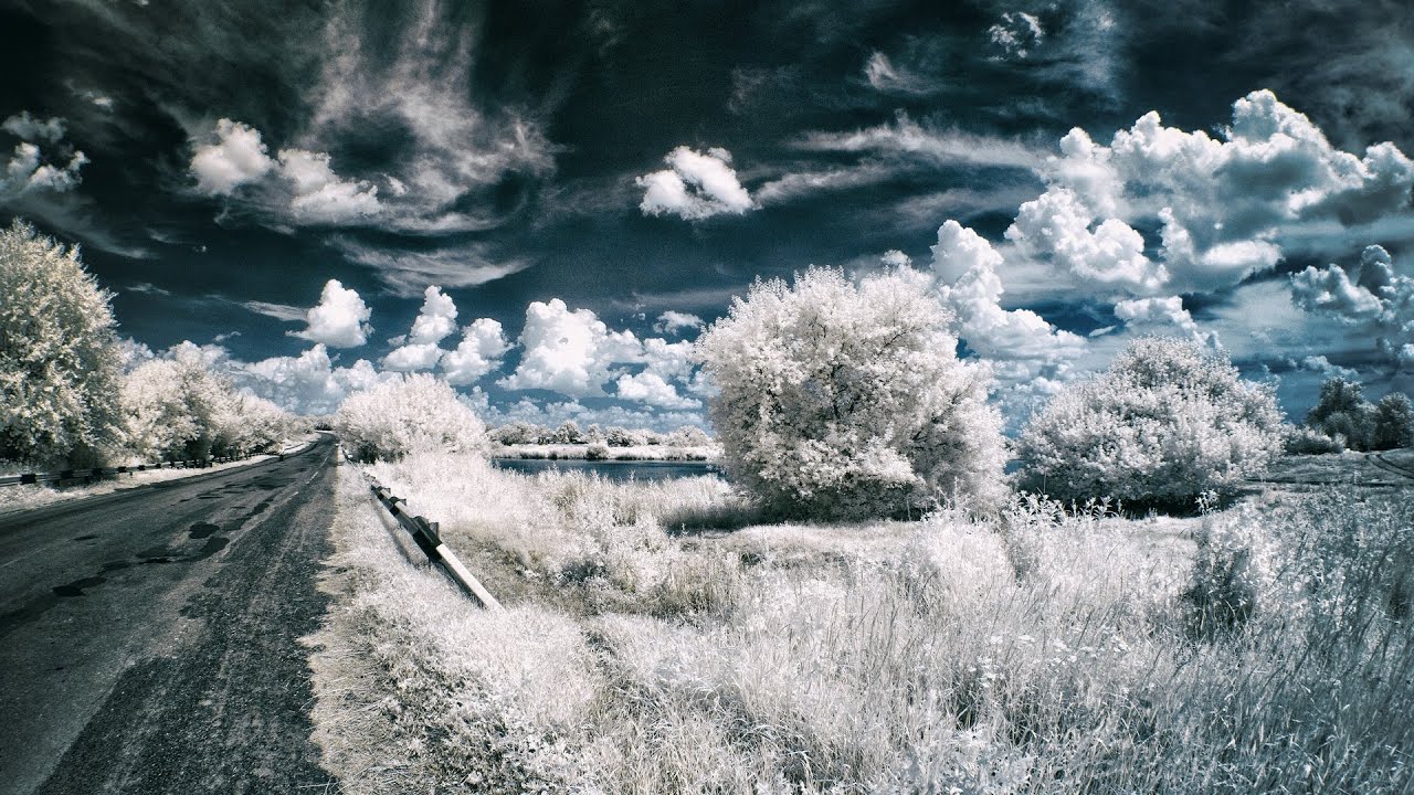 * How to Start Infrared Photography on a Budget. We sell Infrared and Astro converted cameras