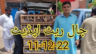 Birds Market Lalukhet Jaal Update 11-12-22 in Urdu\/Hindi