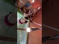 25 days old CHICKS #fyp #fypシ゚viral #fypage #fypyoutube #chicken #farming #farmer
