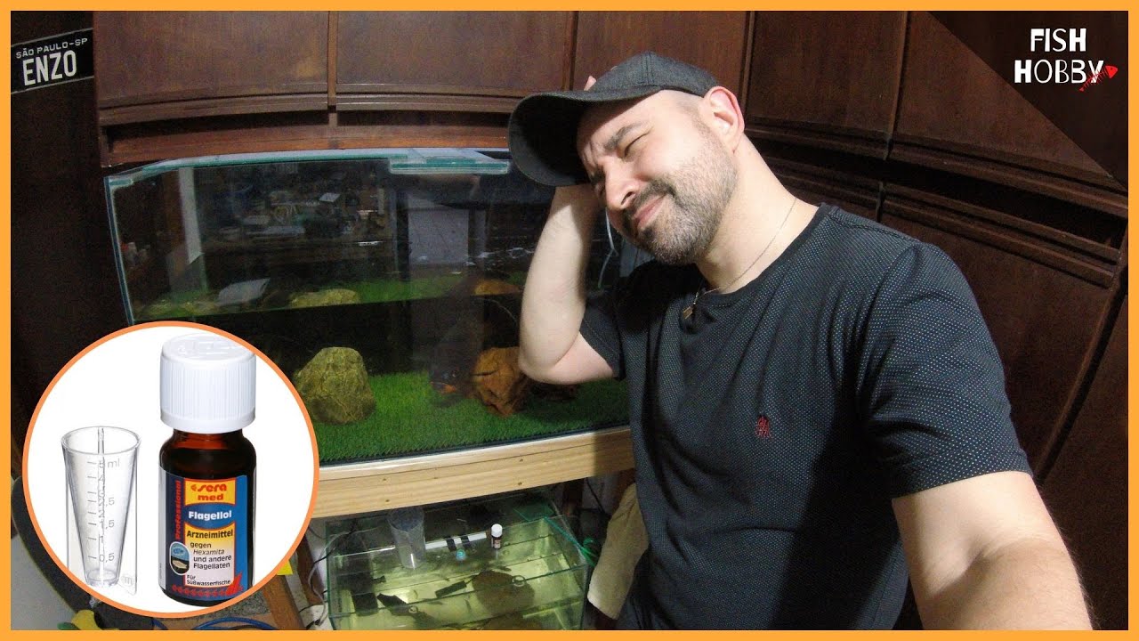 MAIS UMA VEZ A DOENÇA BNC AFETOU MEU OSCAR! HV_138