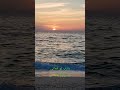 یارب تو همانی که برایم همه ای راهی به خدا دارد این خلوت تنهایی خدایاشکرت یارب تو همانی که برایم همه ای راهی به خدا دارد این خلوت تنهایی خدایاشکرت