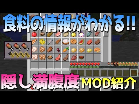 Mod紹介 隠し満腹度が目に見える Minecraft Appleskin Mod Youtube