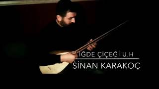 İğde Çiçeği U.H - Sinan Karakoç Resimi