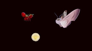 flutter starlight 3 (getting a bunch of cool things)