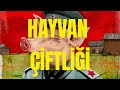 Hayvan Çiftliği :"Daha Eşit" Olanların Dünyası