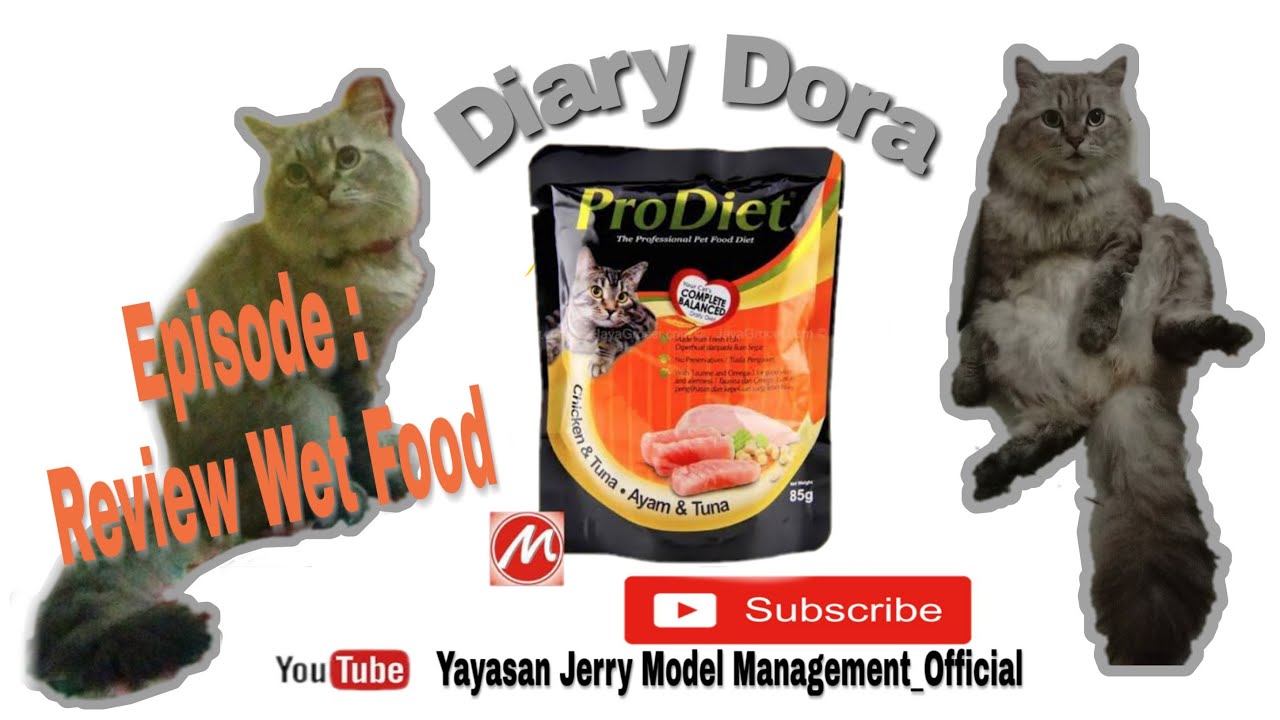 makanan kucing pro diet
