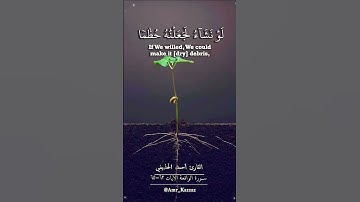 سورة الواقعة الآيات من ٦٣-٦٥ بصوت القارئ أحمد الحذيفي