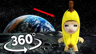 Banana Cat Finding Challenge But It's 360 degree video #3