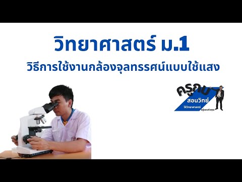 วิทยาศาสตร์ ม.1 : วิธีการใช้งานกล้องจุลทรรศน์แบบใช้แสง