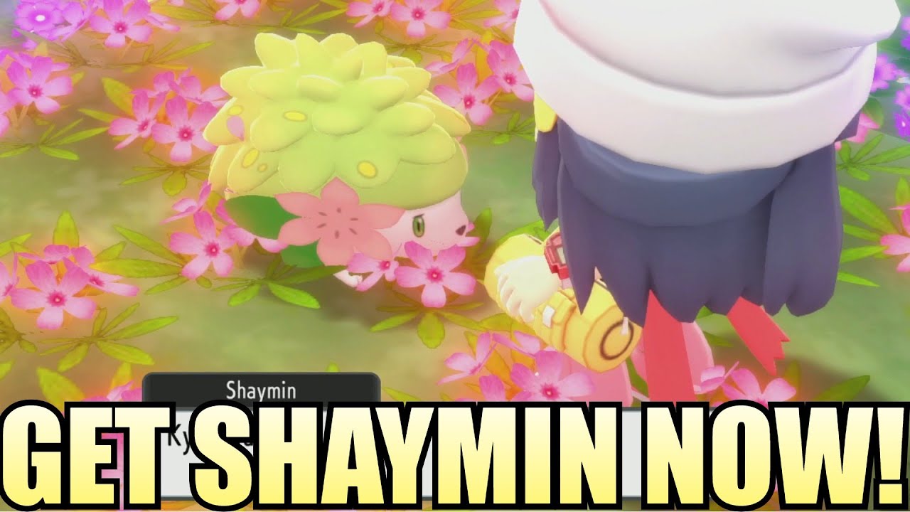 Pokémon Brilliant Diamond e Shining Pearl: Como pegar Shaymin cedo usando o  Surf Glitch - Jugo Mobile