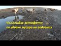 Уборка мусора на водоеме для рыбалки и отдыха. Мусоро-уборный челлендж-эстафета. 1-я серия