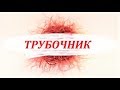 Трубочник. Живой корм для аквариумных рыбок. Добыча и хранение.