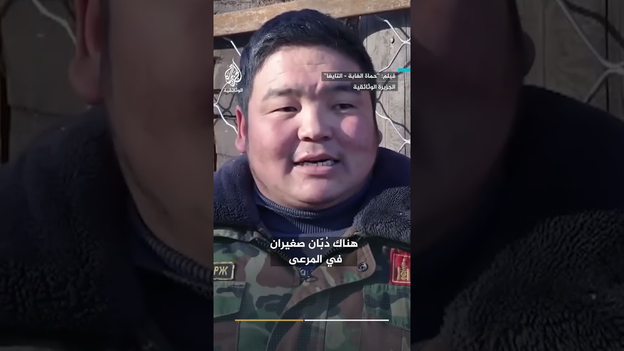 في غابات التايغا.. حراس البيئة في مهمة لإنقاذ دببة سيبيريا من الموت