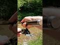 Это Другая Форелевая Рыбалка #fishing #рыбалка