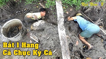 Tát Đìa Bắt Cá Miền Tây Móc Cái Hang Cả Chục Ký Cá Thấy Mê/Fishing/NGÃ NĂM TV