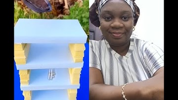 IQ test #quiz #roblox #gaming #youtubeshorts #brainteasers