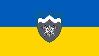 "Give me a weapon"-anthem 10th Mountain Assault Brigade-Kozak System - Подай Зброю