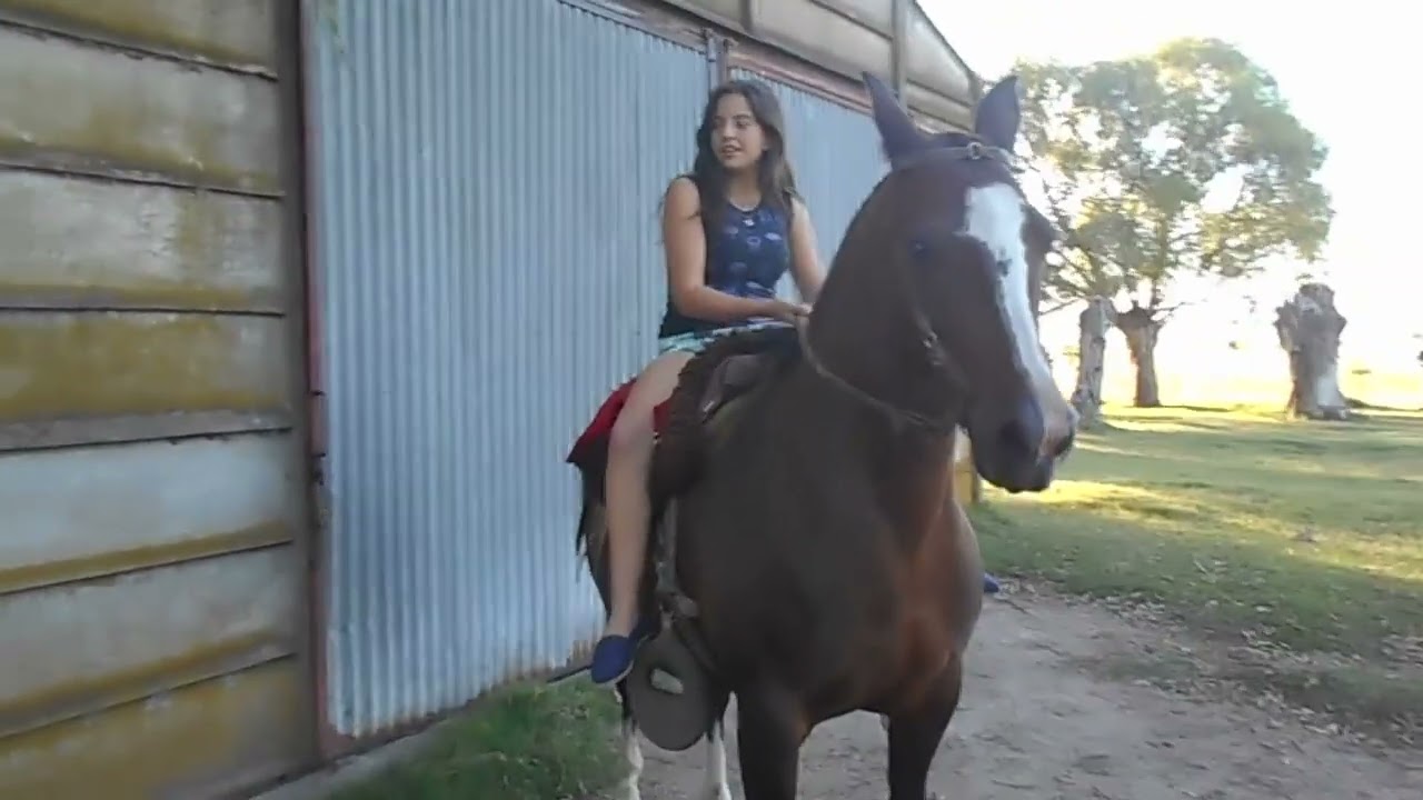 Bold Girl Riding Horse Cruel YouTube Bold Girl Riding Horse Cruel YouTube