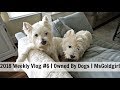 2018 Weekly Vlog #6 | Owned By Dogs | MsGoldgirl