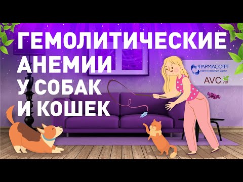 Видео: Различия между мужскими и женскими электрическими желтыми цихлидами