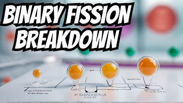 What Is Binary Fission? Biology Explanation of Asexual Reproduction in Bacteria &Reproductive System