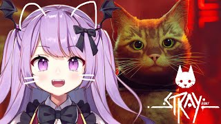 [LIVE] 【Stray】猫も好き！街並みも好き！全部好き！【MiLive​​ / 新人Vtuber​​】