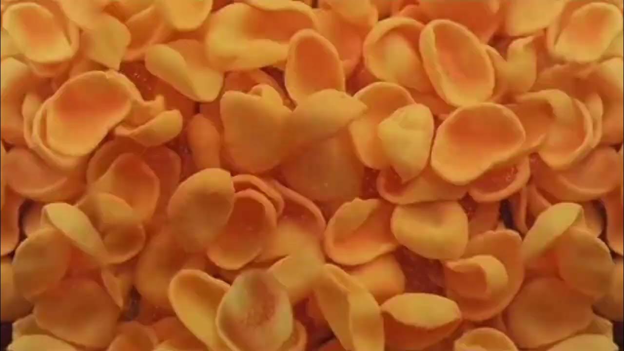 CLOVER video) YouTube