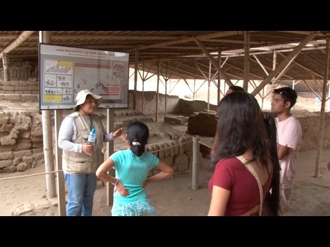 Vídeo: Como abrir um McDonald's: condições para comprar uma franquia, preencher os documentos necessários e elaborar um plano de negócios