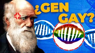¿Qué sentido evolutivo tiene la homosexualidad?
