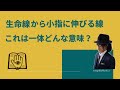 手相に生命線から小指に伸びる線がある。これは一体どんな意味?