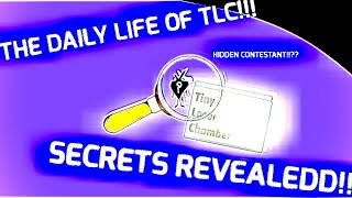 A Day In The Life Of The Tlc Bfdi Fan Thingy