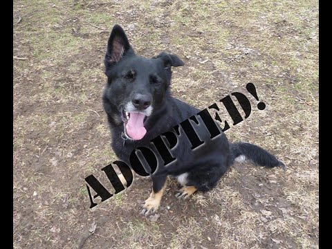 rome---adopted!