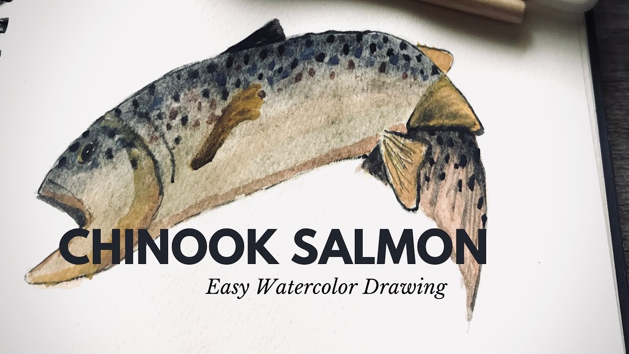 Easy Watercolor Drawing Chinook Salmon Fish (beginner) l วาดภาพสีน้ำ