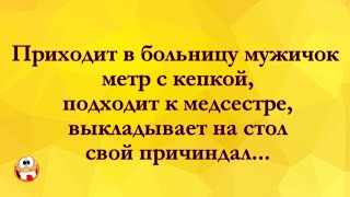 Мужичок с Большим Причандалом! Анекдоты Онлайн! Короткие Приколы! Смех! Юмор! Позитив!