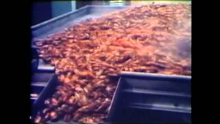 Al Scramuzza's Seafood City original commercials - vitamins