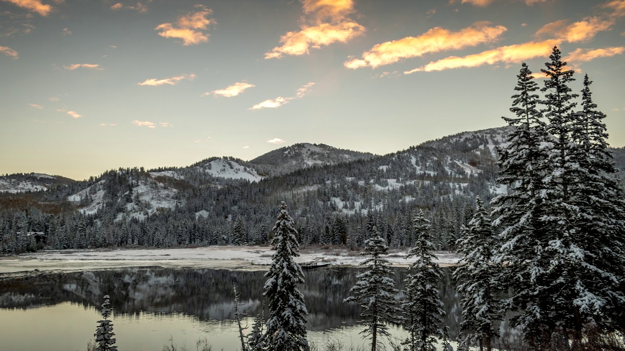 Raise spirits - The Temple