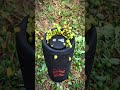 Jbl Sound Test With Seeds