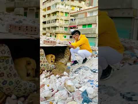 تمثيل علي مهرجان خونتك مرتين تلاته بس تلاته بس Youssef El Turbo Ebrahim Khamiss